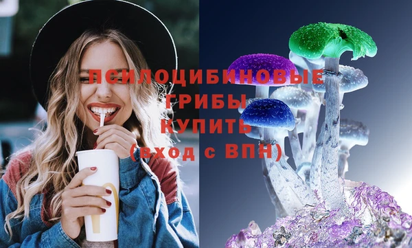 молекула духа Алексеевка