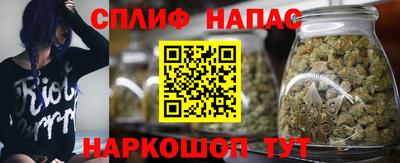 стаф Тара