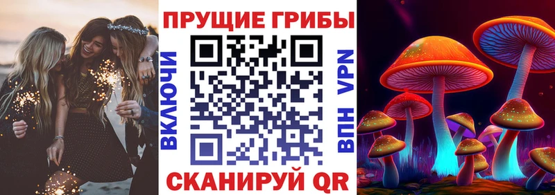 закладки  Находка  Галлюциногенные грибы ЛСД 