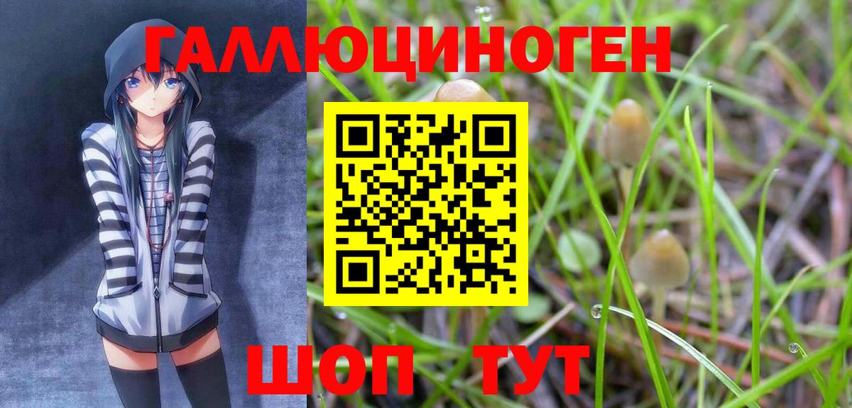 Псилоцибиновые грибы Magic Shrooms Находка